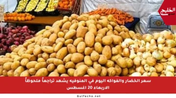 سعر الخضار والفواكه اليوم في المنوفية يشهد تراجعاً ملحوظاً الأربعاء 20 أغسطس